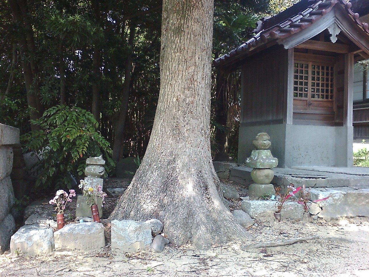 正覚寺の楠氏のお墓